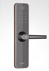 富宇智能鎖6503 迪拜金 富宇智能鎖6503 迪拜金