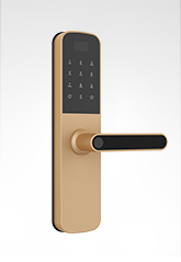 富宇智能鎖6505mini 迪拜金 富宇智能鎖6505mini 迪拜金