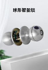3103球形指紋鎖 3103球形指紋鎖