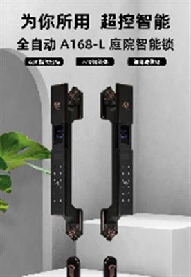 全自動(dòng)A168-L庭院智能鎖 全自動(dòng)A168-L庭院智能鎖