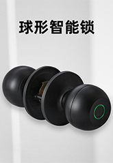 3115球形指紋鎖 3115球形指紋鎖