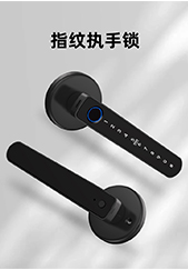 6521-指紋執手鎖 6521-指紋執手鎖